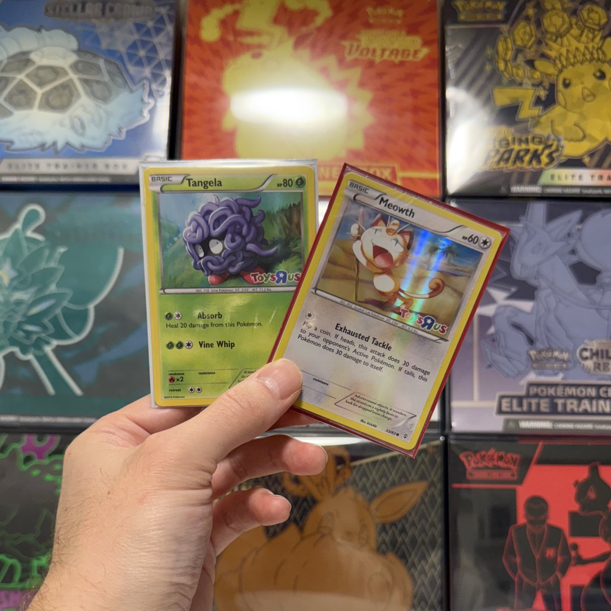 TheRocketBrosTCG tweet media