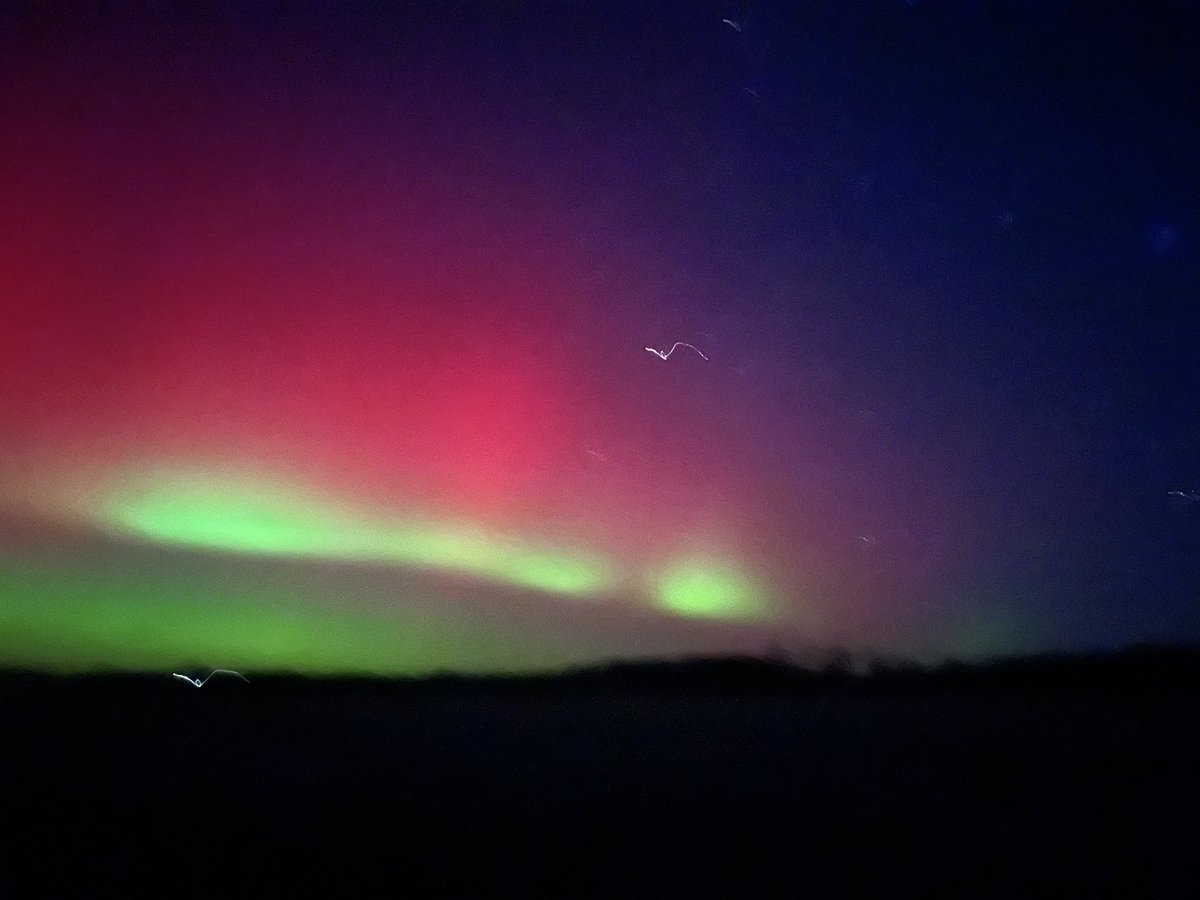 Kris Larson, Ed.D tweet media