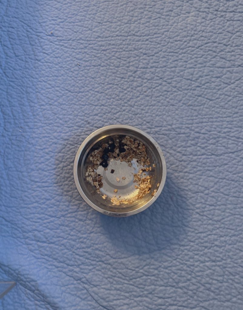 Bed and breakfast for My slave 🔐