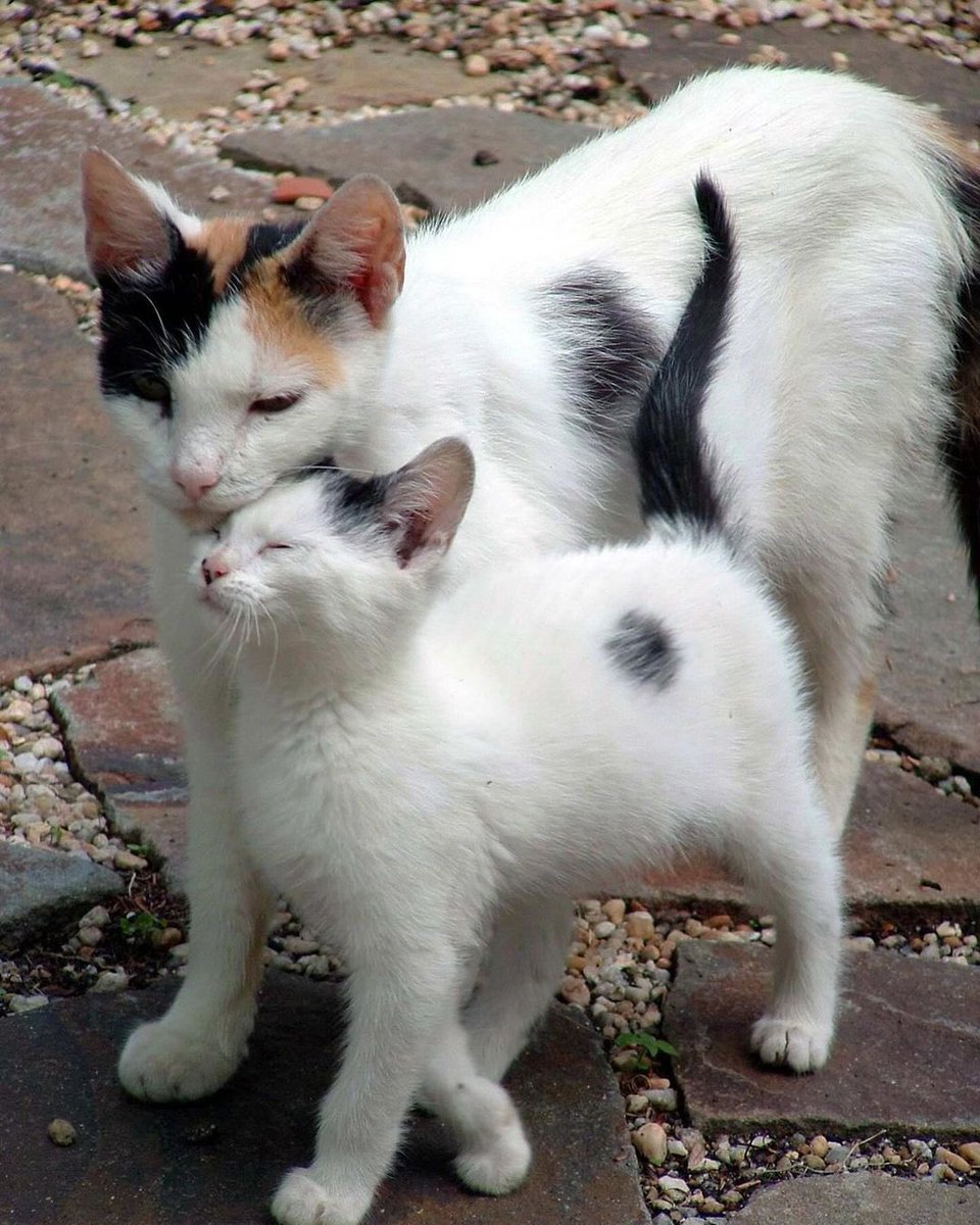 Like mother like daughter 😍❤️