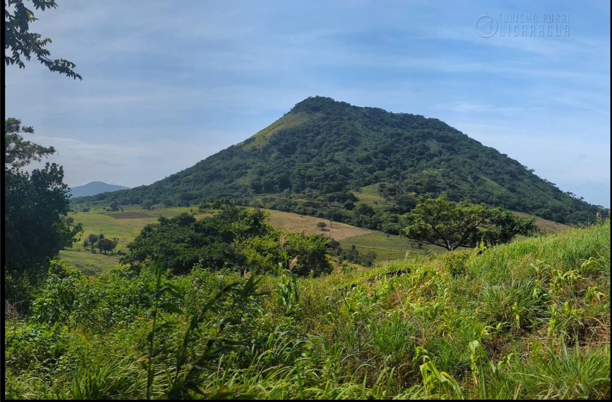 Desde la carretera Telica - San Isidro se asoma el volcán Santa Clara, pequeño pero majestuoso 🌋. Frente a él, Las Ñoreñas, una planicie fértil donde florece el maíz y el frijol 🌽🌾. Un paisaje que enamora 💚🇳🇮
#RelaxNica #TurismoRuralNicaragua