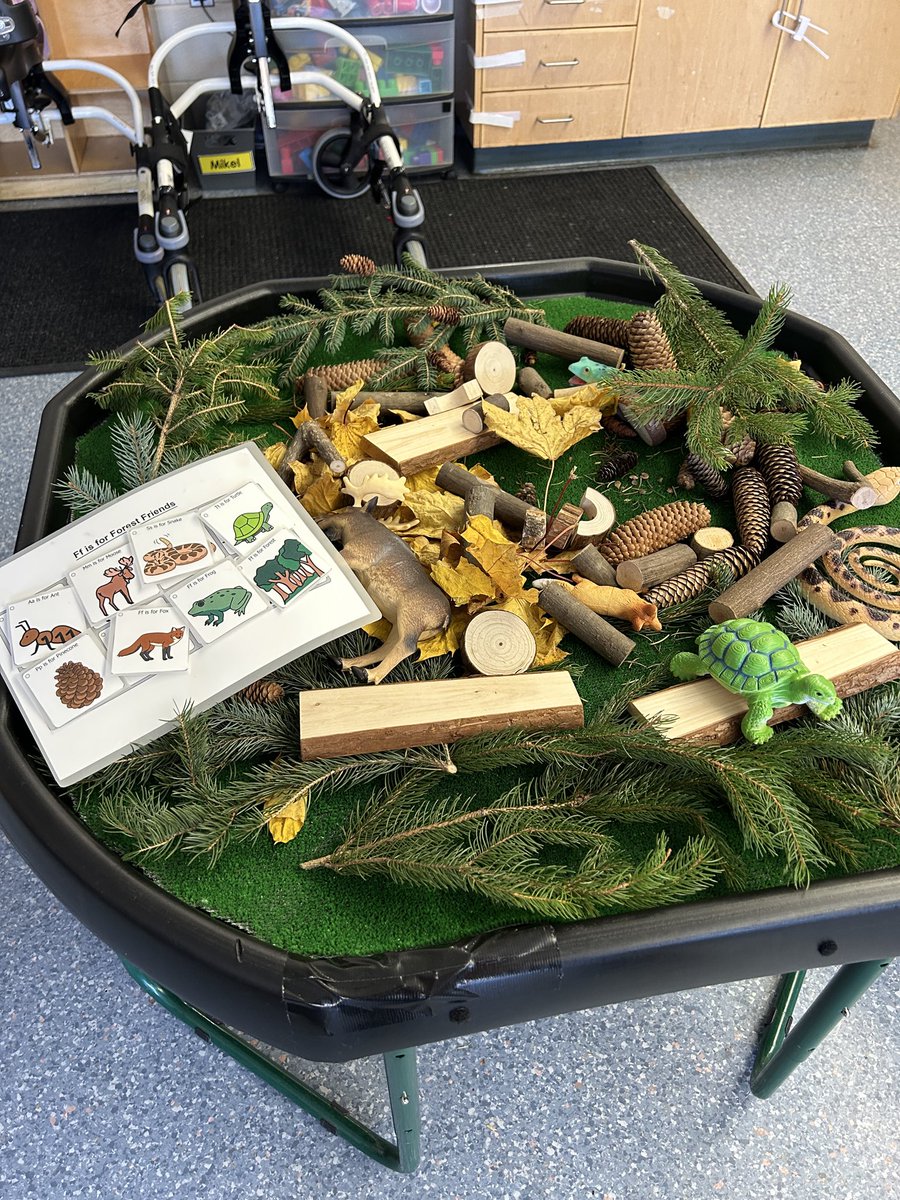 Mrs. Akseer’s class  found a  forest on their tuff tray this week with lots of forest friends waiting to be found 😁🌲