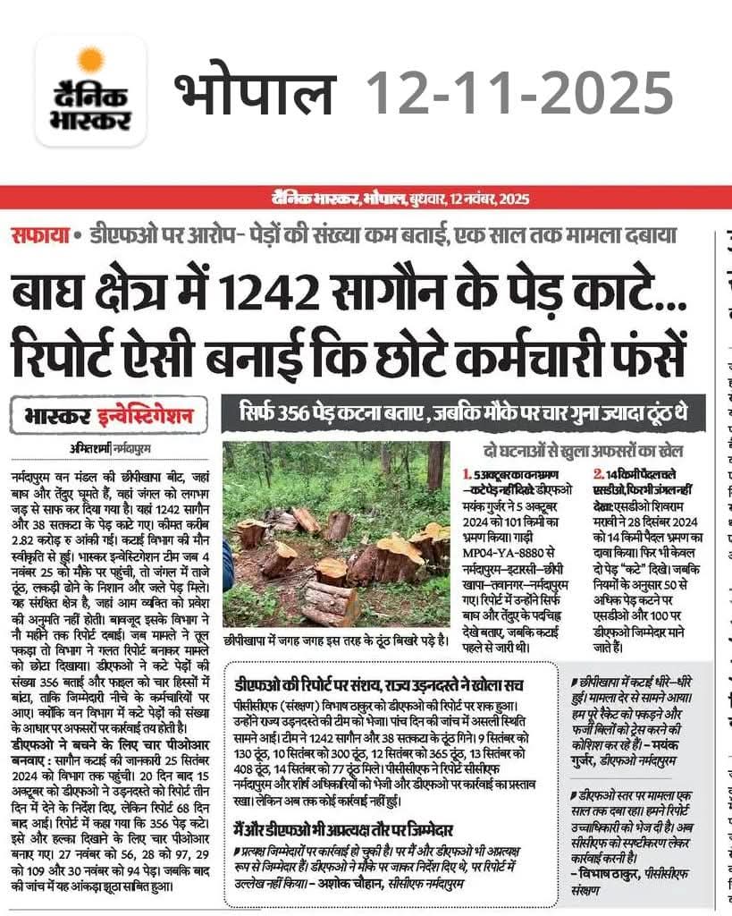 मध्यप्रदेश वन मंत्री मोहन यादव जी 
एक पेड़ मां के नाम बाकी पेड़
माफिया भ्रष्ट डीएफओ के नाम
<a href="/CMMadhyaPradesh/">Chief Minister, MP</a> <a href="/PMOIndia/">PMO India</a> <a href="/ntca_india/">National Tiger Conservation Authority</a> <a href="/byadavbjp/">Bhupender Yadav</a> <a href="/moefcc/">MoEF&CC</a>