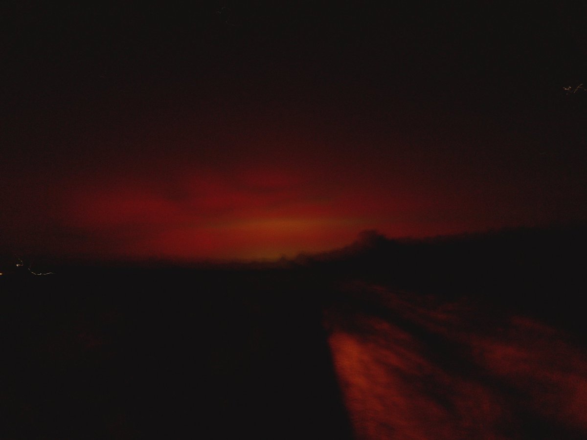 ghostduster19 tweet media