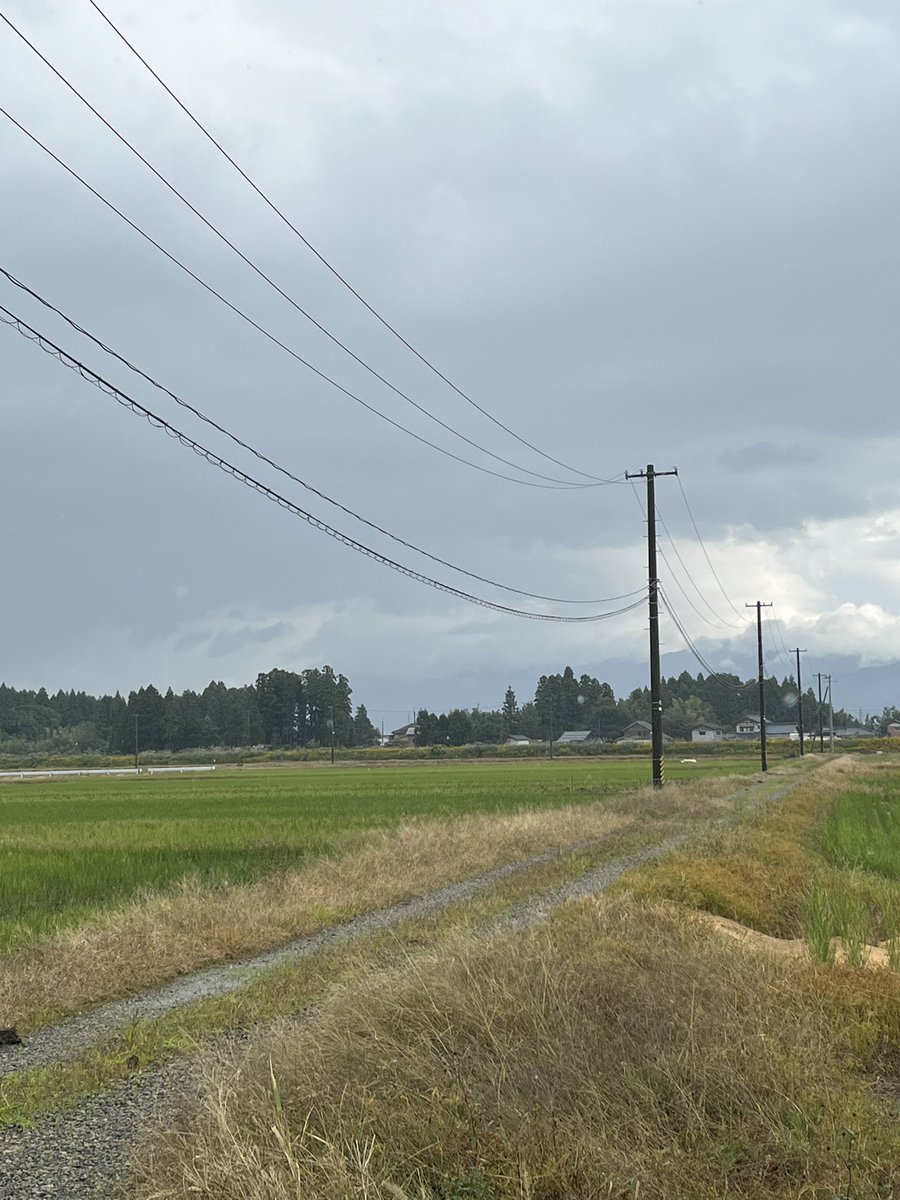 juavac_niigata's tweet photo. 👨「電線のある圃場は飛ばせますか?」
👩🦰「念の為、お伺いして現地でお話させてください!」
🚗💨
👨「ここ、あと、そっちも!」
👩🦰「ここなら、、こんな感じで、、ここに注意をしたら大丈夫です👌」
実際の現場を見る事が1番👍
#ドローン #農業 #新潟 #JUAVAC https://t.co/vb1qJ27pVK