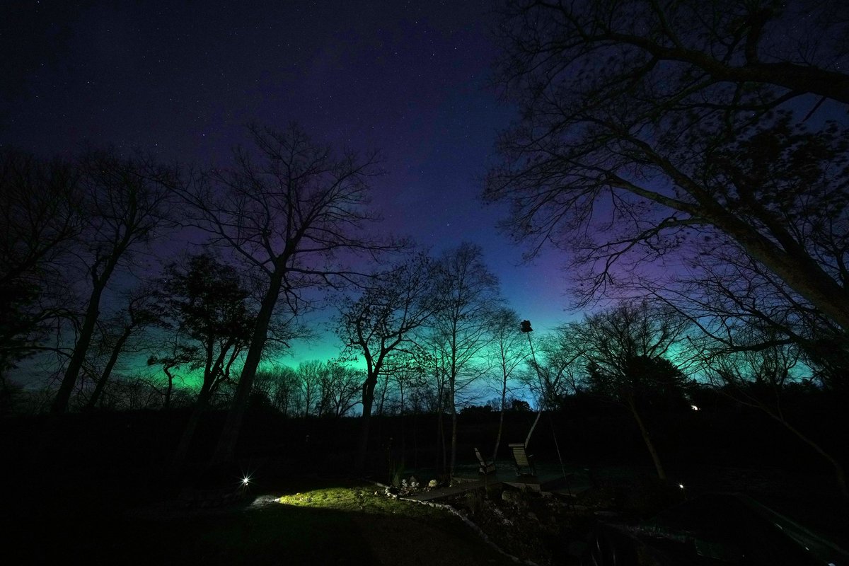 David Silverman tweet media