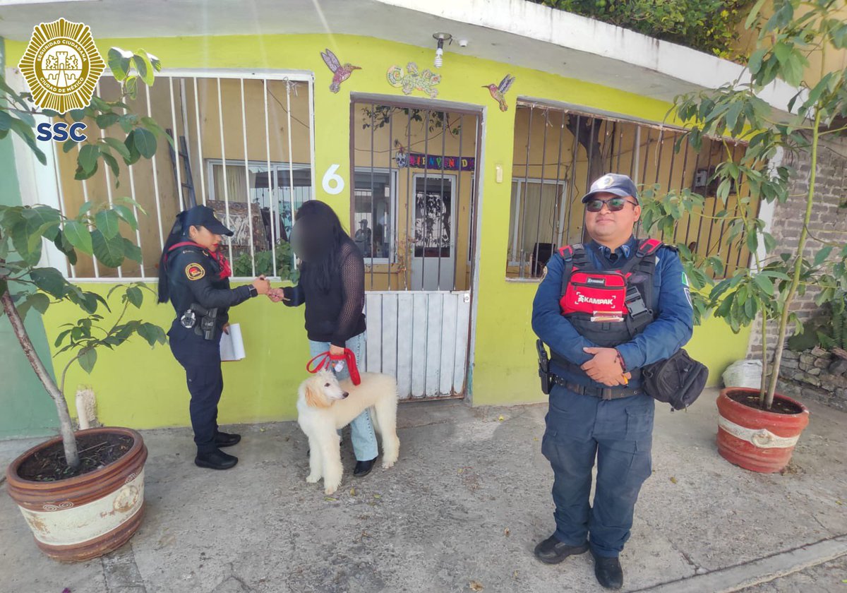 SSC_CDMX's tweet photo. #PolicíaDeProximidad | Como parte del trabajo que realizamos día con día en la #ZonaOriente para que las calles sean más seguras, policías del sector #Tezonco visitaron #CasaXCasa, en la alcaldía @Alc_Iztapalapa, donde compartieron con la ciudadanía el número de teléfono del #JefeDeCuadrante, además de brindar medidas preventivas.
#JefaDeGobierno
@ClaraBrugadaM
#MásSeguridad
#LaPolicíaCercaDeTi
