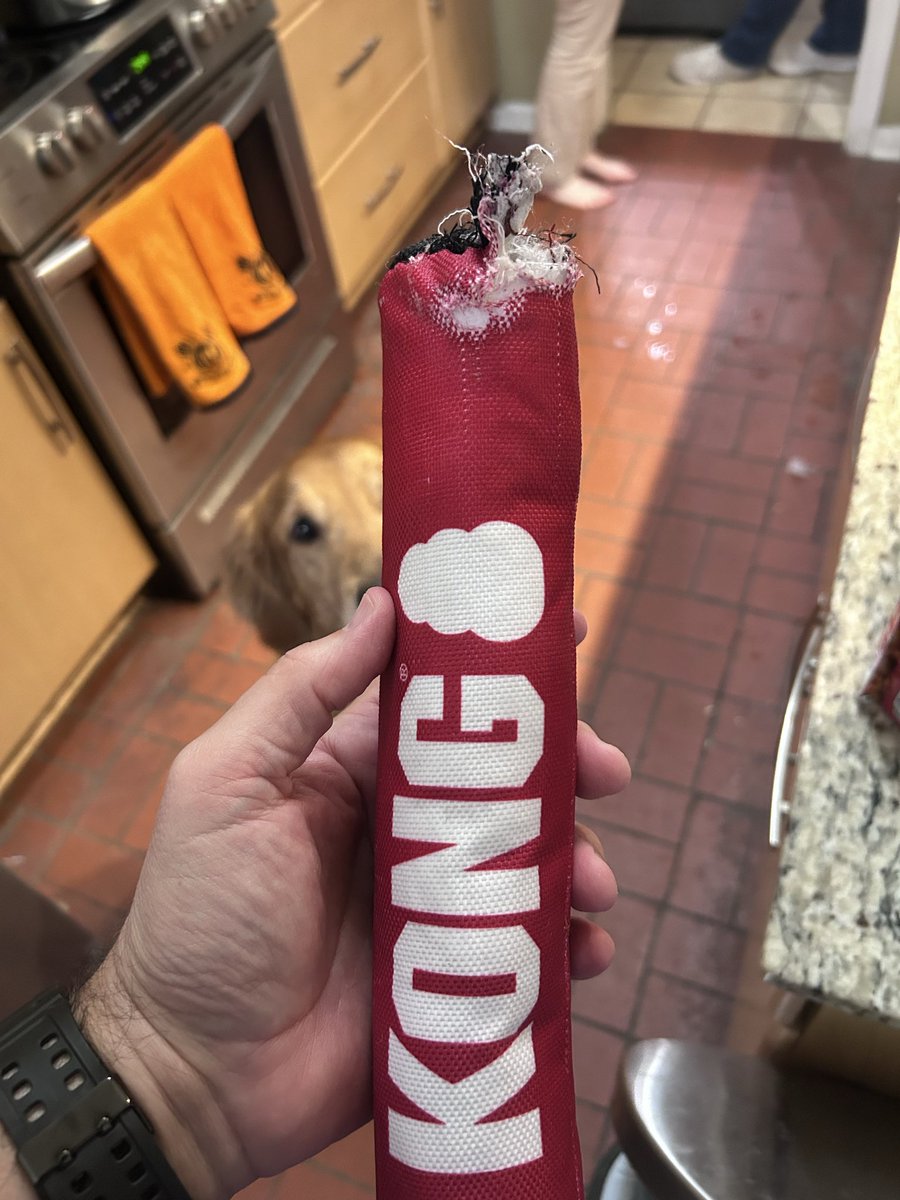 todd231's tweet photo. Okay, @KONGCompany this was 12 minutes. What gives? Thought your stuff was indestructible? https://t.co/jrGYkJPeTn