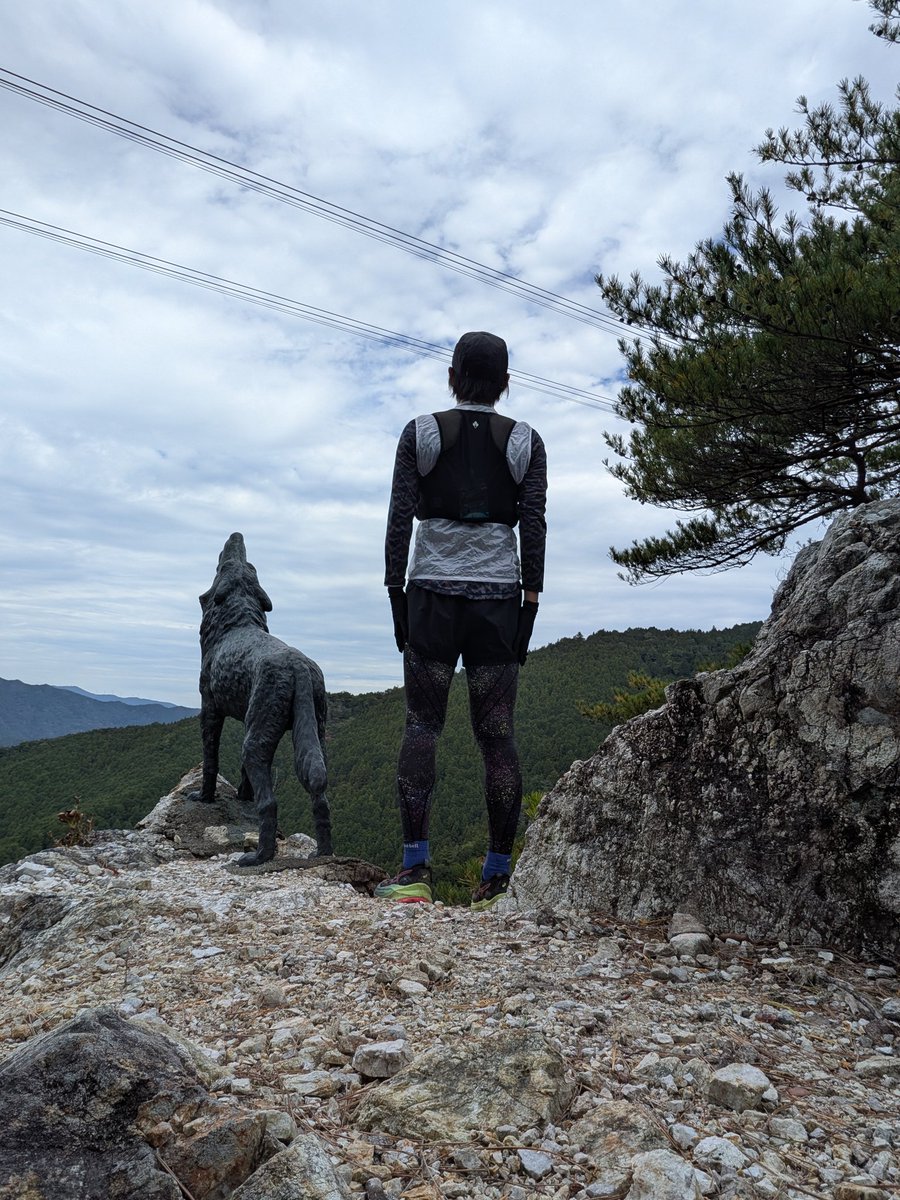 ももーゴ (@momoooogo) / Posts / X