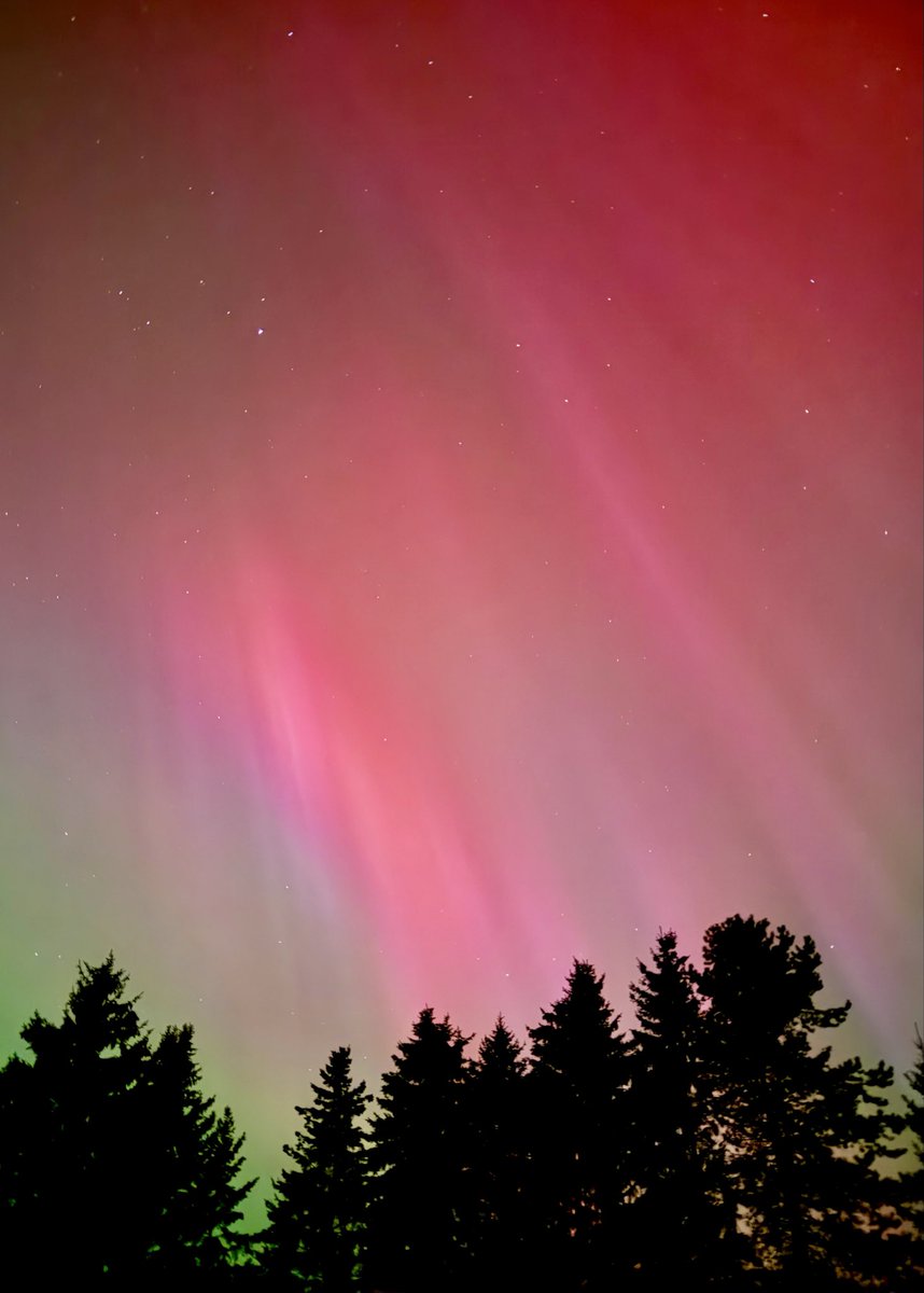 “Sometimes a change of perspective is all it takes to see the light.”

- Dan Brown

📸 credits: my sister