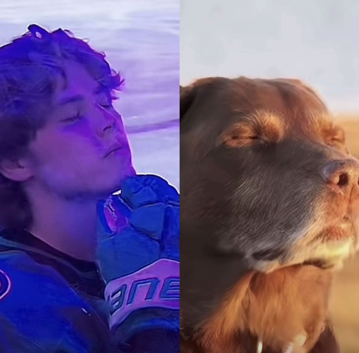 dunnitrightt's tweet image. 