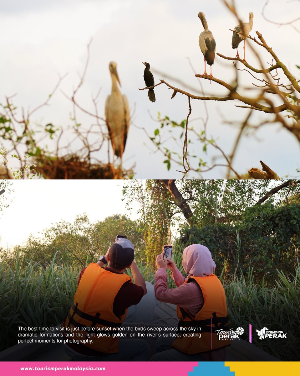 Tourism Perak tweet media