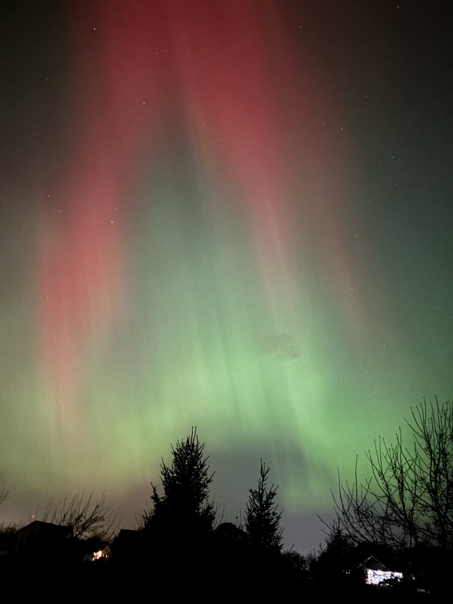 Coach Tackmann tweet media