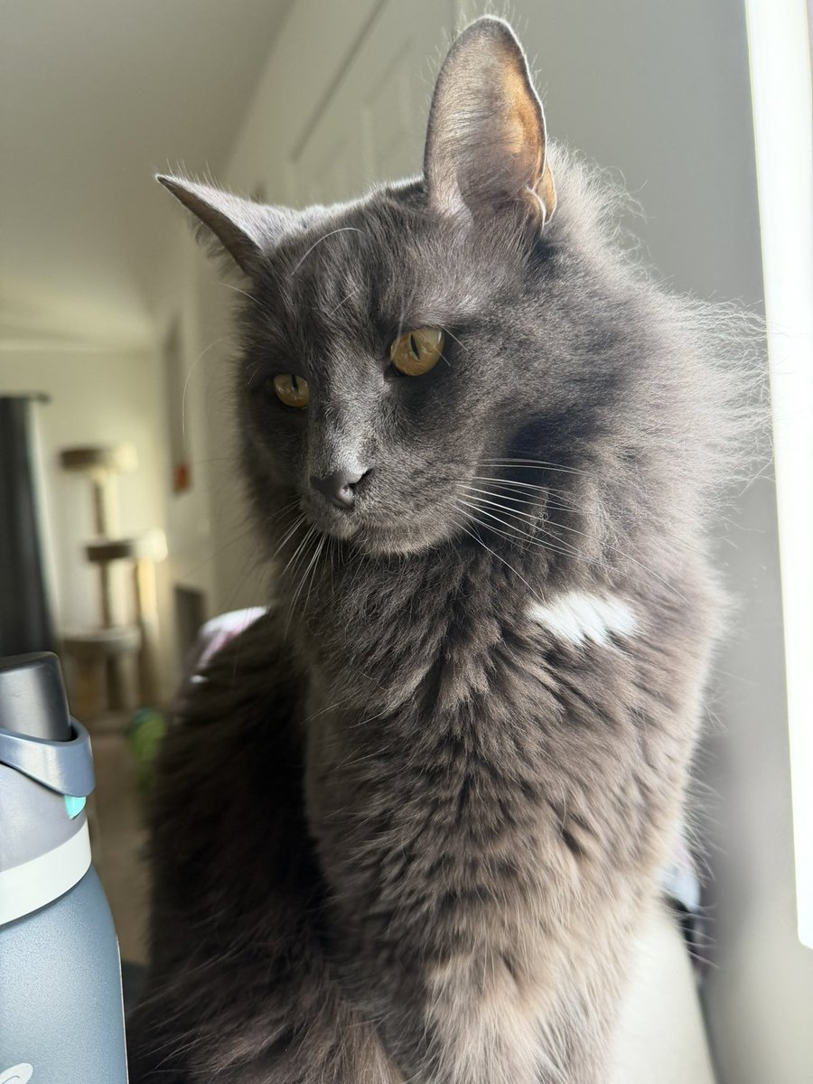 Me after my haircut + Wolfie at breakfast.