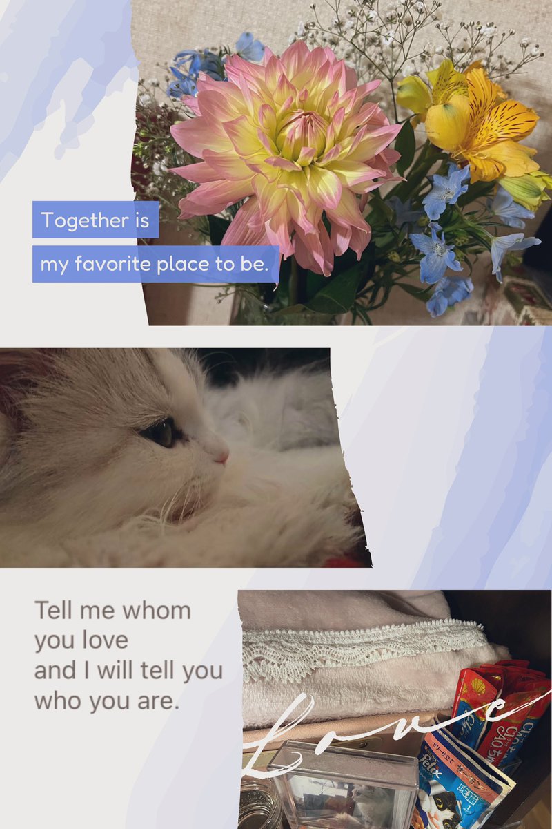 cocoページ♡⃜ coco ☺︎🗼✨🤍🍃 🌆 🫧 🌌 🧬🤍💛🧡☺︎ on X