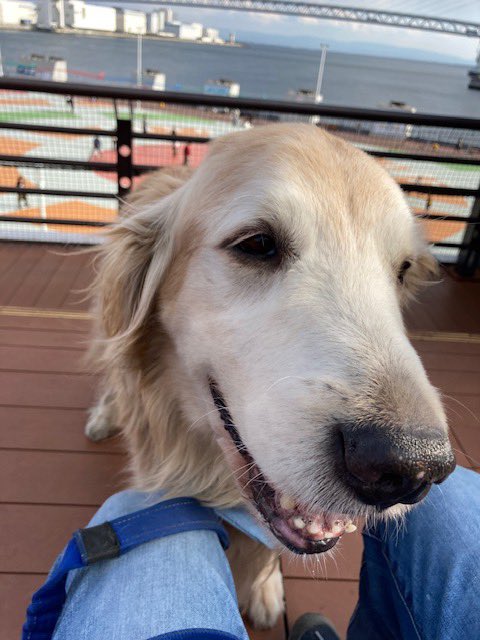 ぴーママ (@1174115) / Posts / X