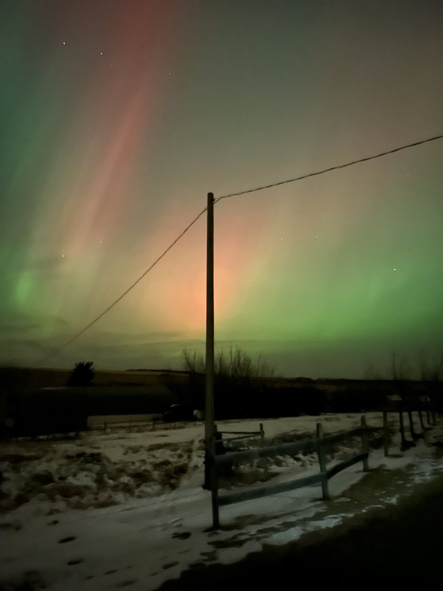 Ryan Rivett tweet media