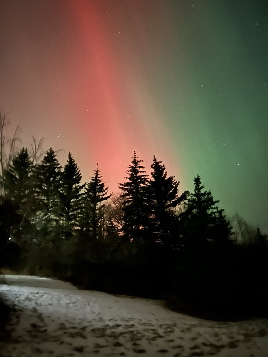 Ryan Rivett tweet media