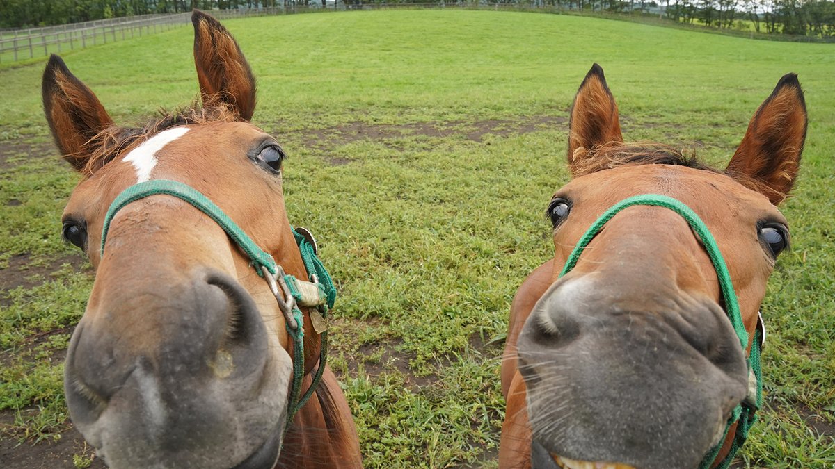 かわいいがあふれています💞
