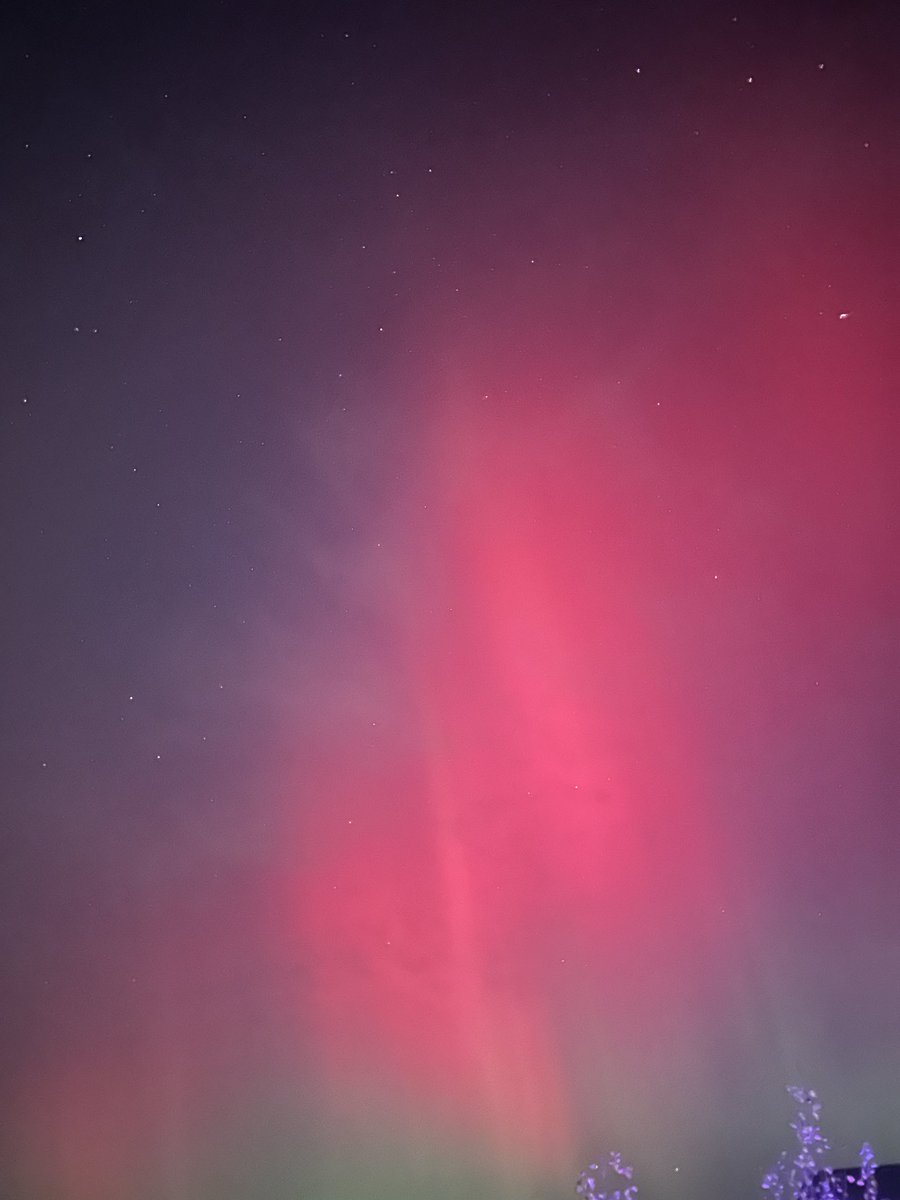 cold_lil_heartt's tweet image. my wish came true, i see them 😍