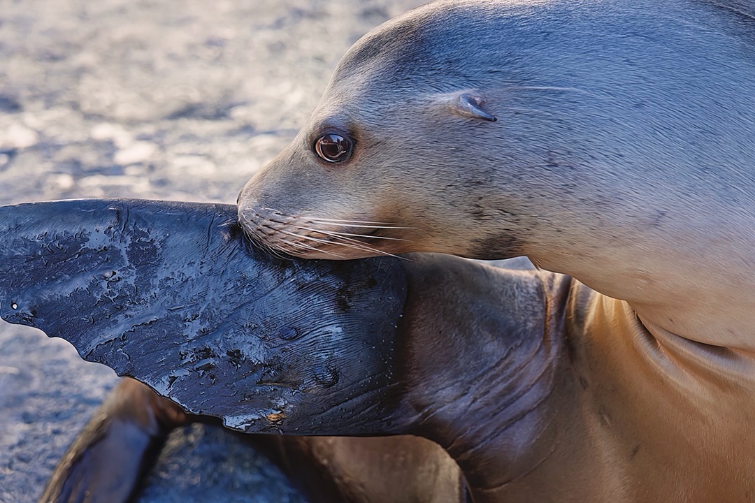 Happy Veterans Day! Today, we salute our guests and staff members who have served. 💙

Photo by Robin Riggs