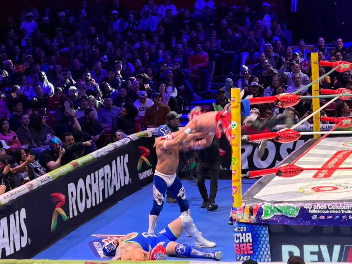 LaTijeraLucha's tweet photo. Los #DivinosLaguneros imbatibles🔥
Excelente combinación por parte de #BluePantherJr, #DarkPanther e #HijoDeBluePanther, quienes hicieron vibrar a la afición de la majestuosa #ArenaMexico al vencer a los poderosos #Crixus, #Alom y #Troyano…
#latijeraluchalibre https://t.co/2OlUuKllfQ