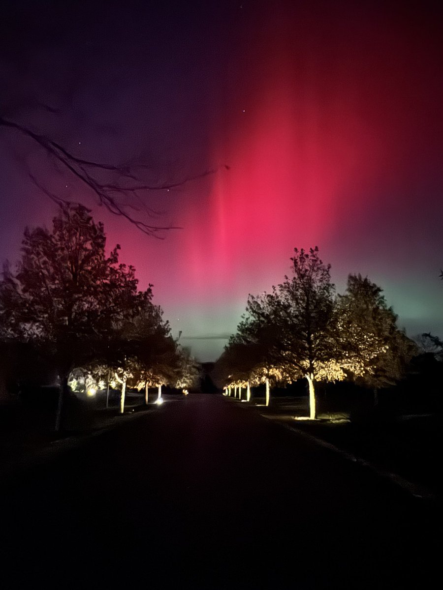 Larry The Cable Guy tweet media