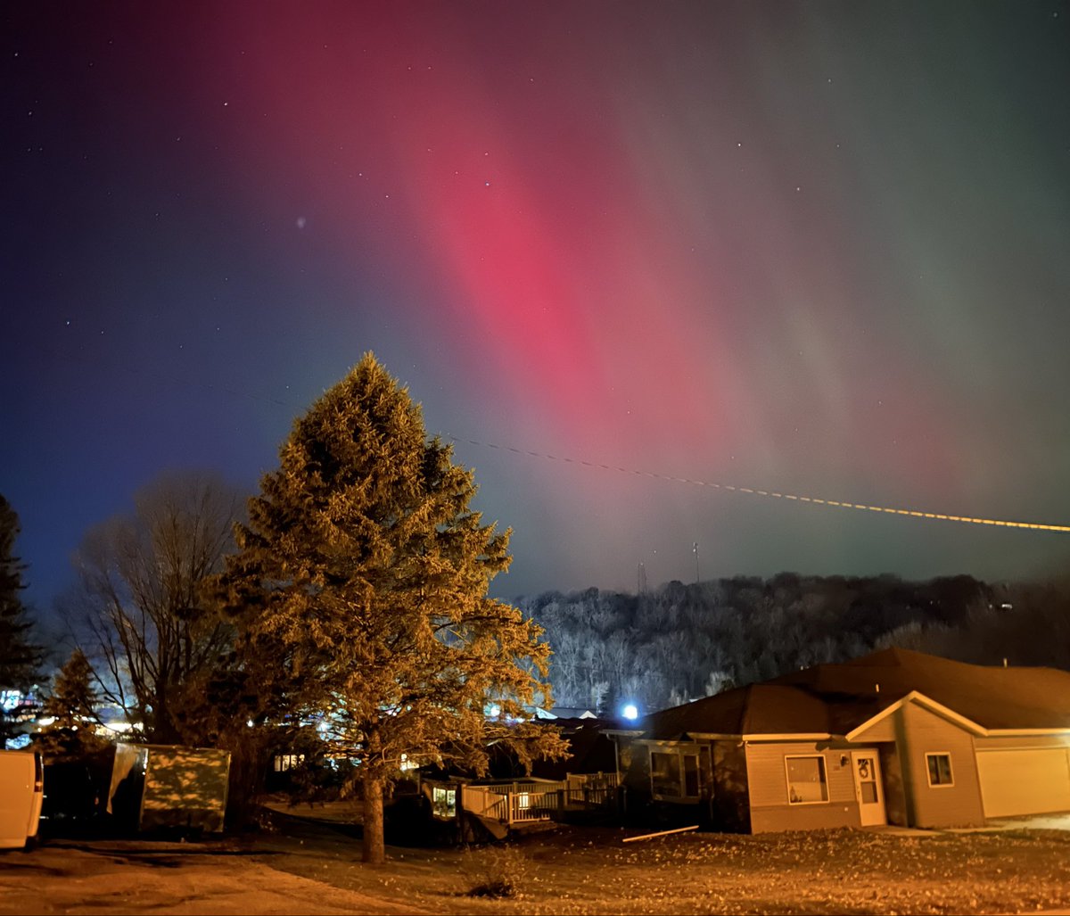 Quinton Murphy tweet media