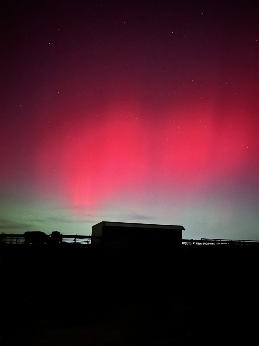 kmcsween's tweet image. I’ve never seen the aurora borealis so vividly at our latitude. Beautiful! #LongmontColorado @CReppWx #cowx