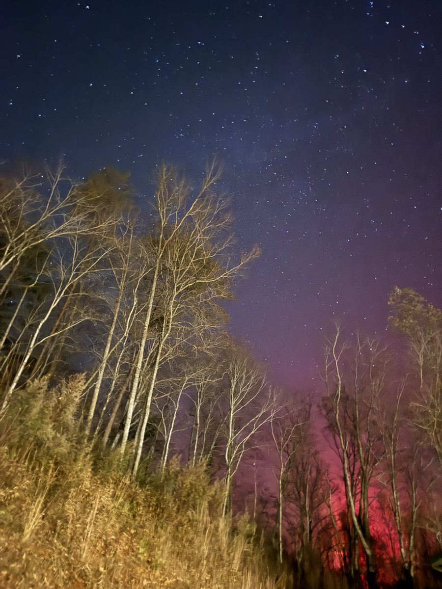 katebomb's tweet image. Northern lights from North Georgia USA tonight 🤩