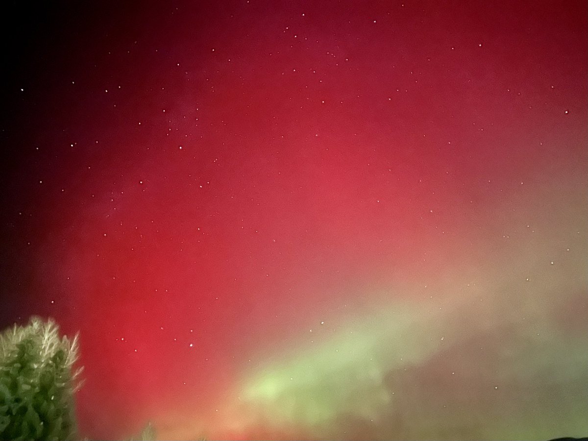 Bartas Urba tweet media