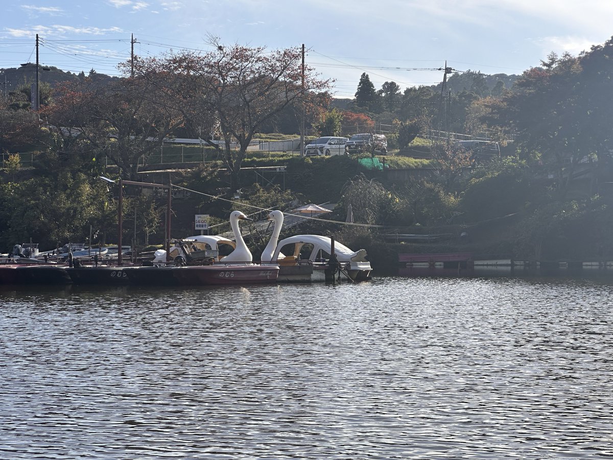 preshin8's tweet image. ㄘゅ💋