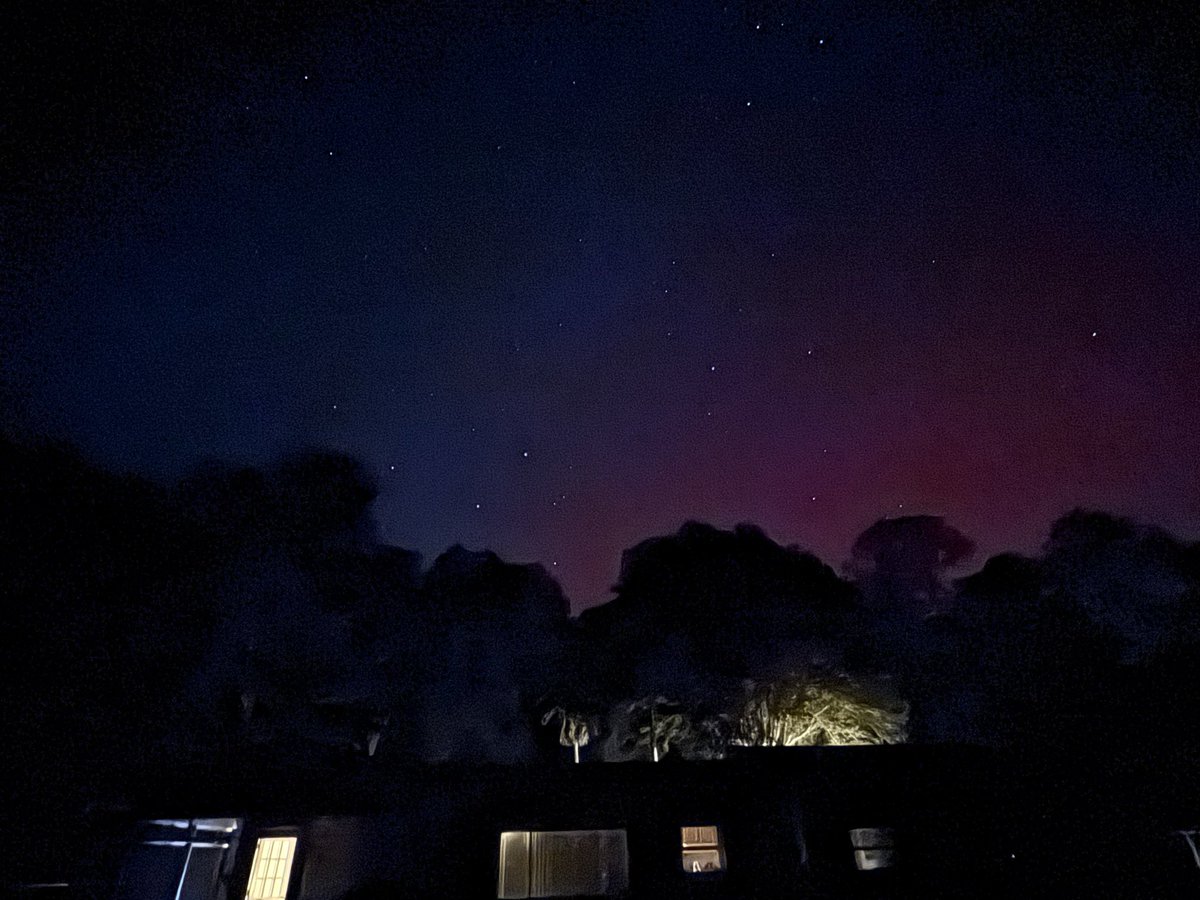 CathyCraft's tweet photo. @MatthewCappucci Variety of colors tonight but mostly red and pink, maybe some blue in Pine Harbor, GA https://t.co/RfCwNQ8peP