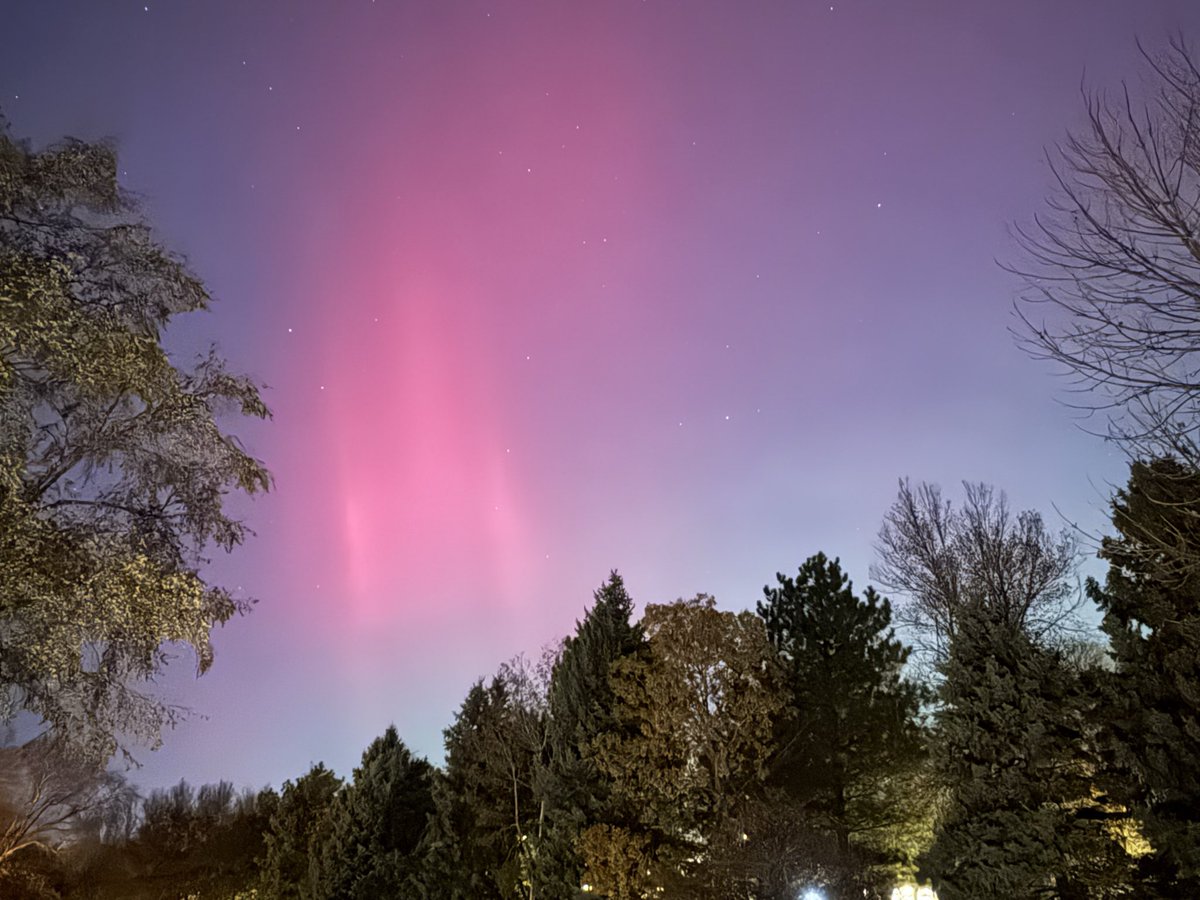 Aaron Mohs, PhD (MohsLab@UNMC) tweet media