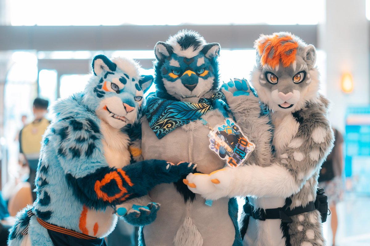 oppen6528's tweet photo. 🫱🥥🥥🫲
📸: @Arthsekiren
#FurusitEveryday #Infurnity2025 https://t.co/vSJFwfpxCz