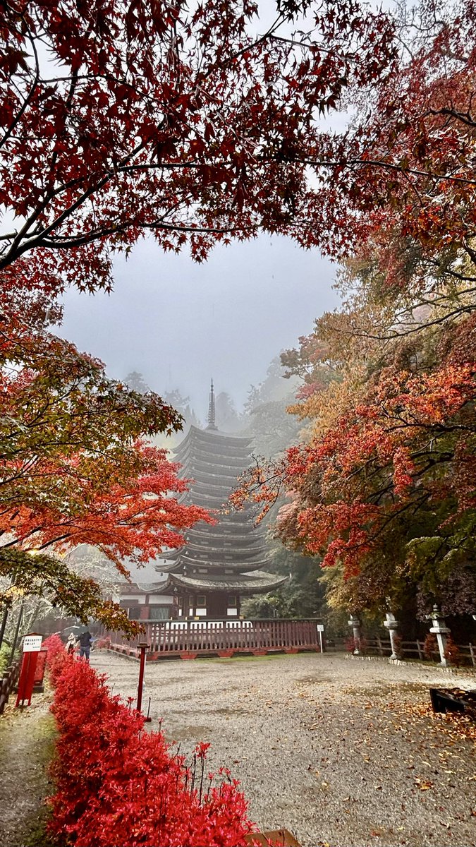 coto4792's tweet photo. 雨の談山神社。なかなかおつでございました。
#談山神社 
#雨の日 
#大化の改新 
#藤原鎌足 https://t.co/coXT4m7PSz