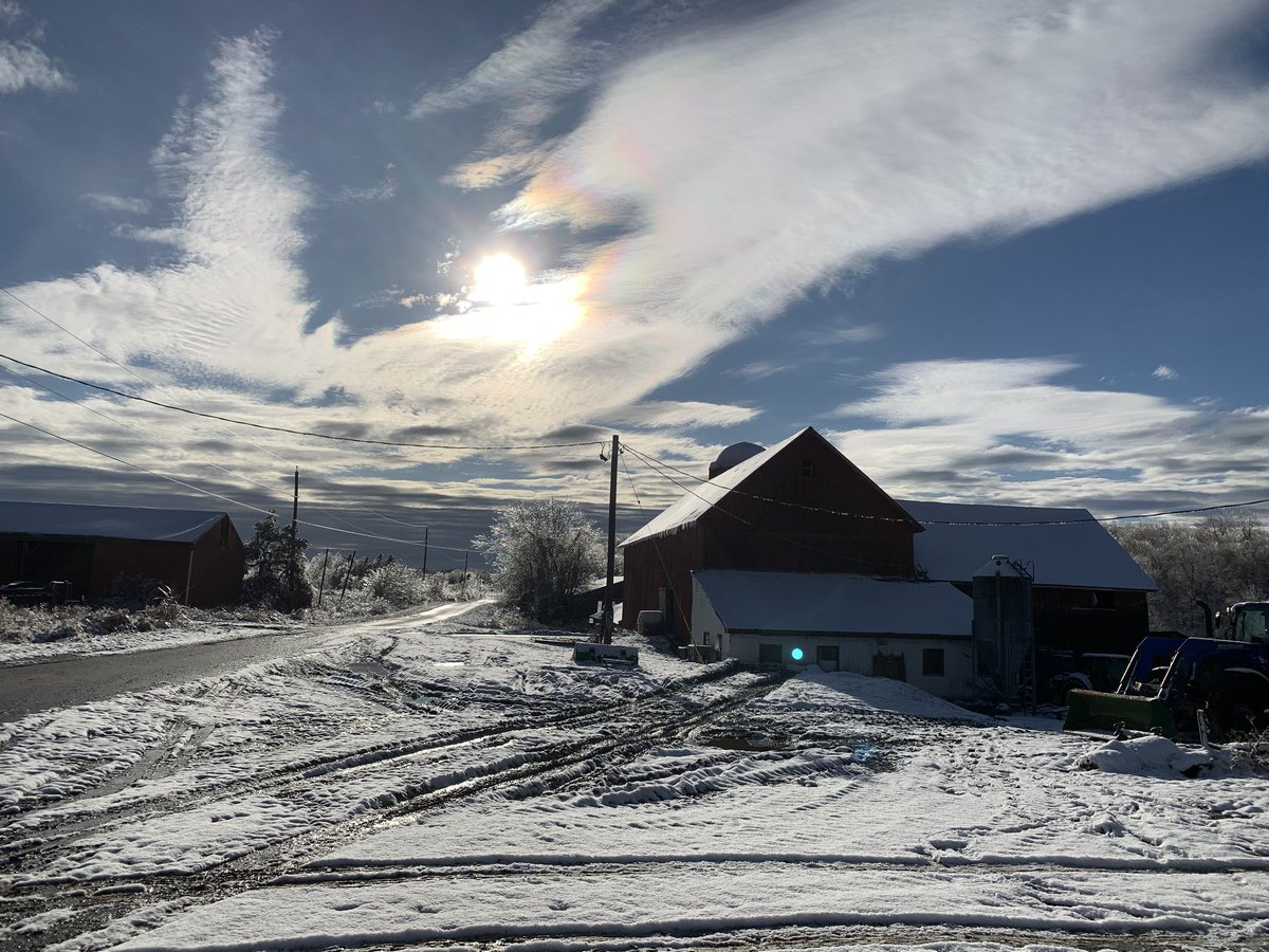 The most perfect day! 🩷❄️