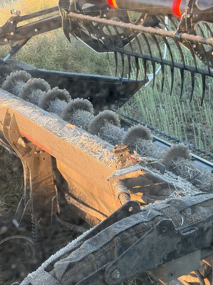 BeauLongmire's tweet image. After farming for 32yrs you kinda expect you’ve seen most strange weather events. A new one for me this morning. -2 while windrowing.