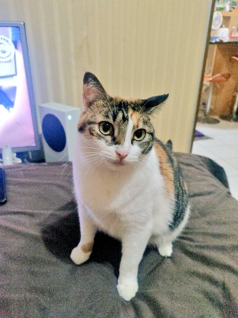 PRET                                PRETTY