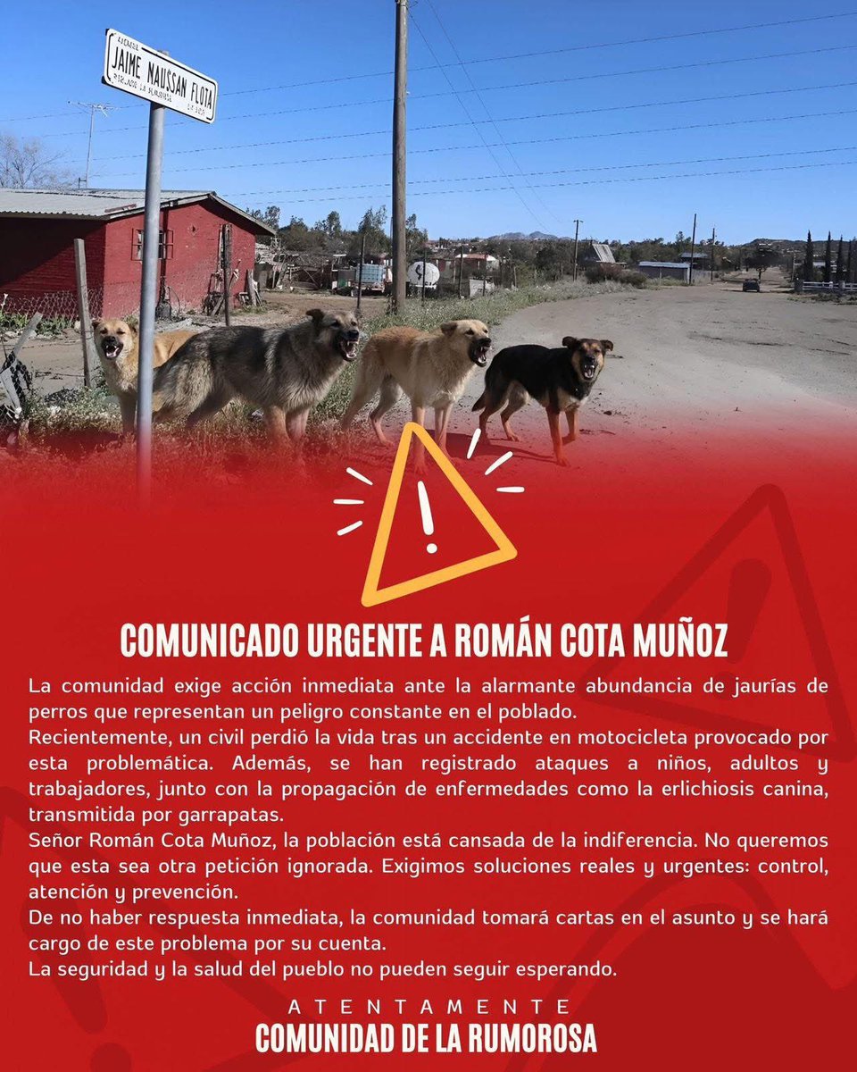 DanielAndradeTV's tweet image. #Tecate | En el poblado de La Rumorosa, los residentes exigen al alcalde de Tecate, Román Cota, actuar ante la alarmante abundancia de jaurías de perros 🐶 🐕