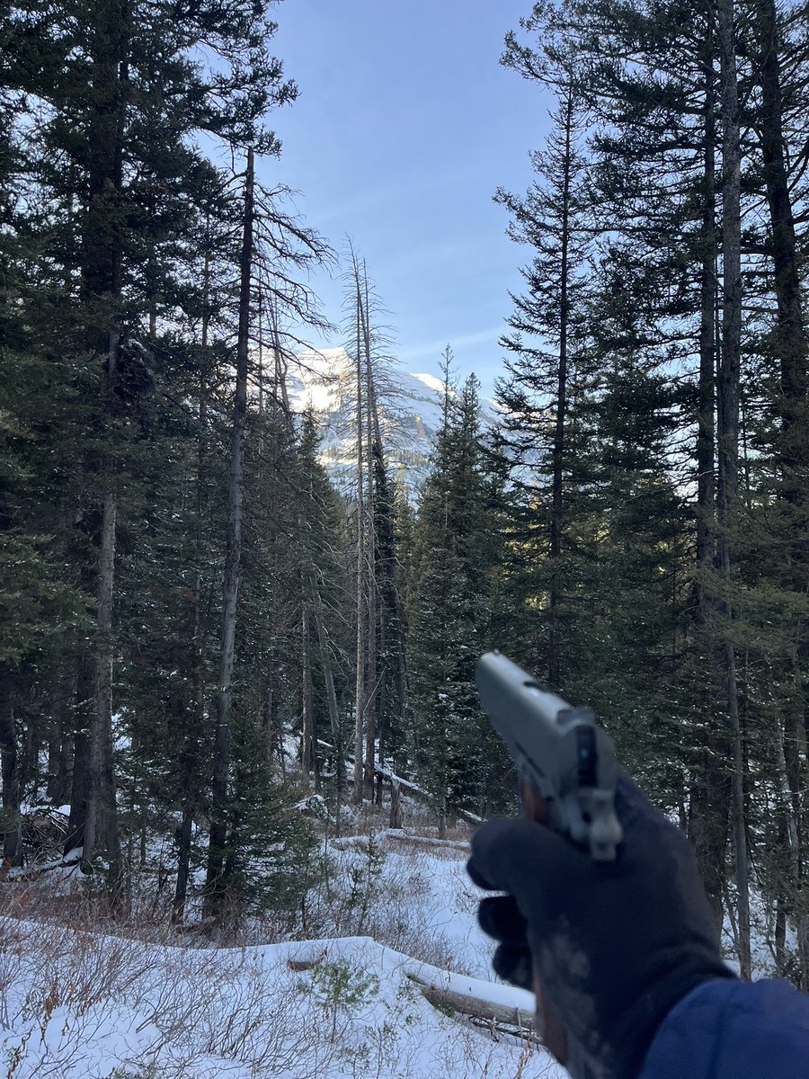 THE Pontiac Aztek University tweet media