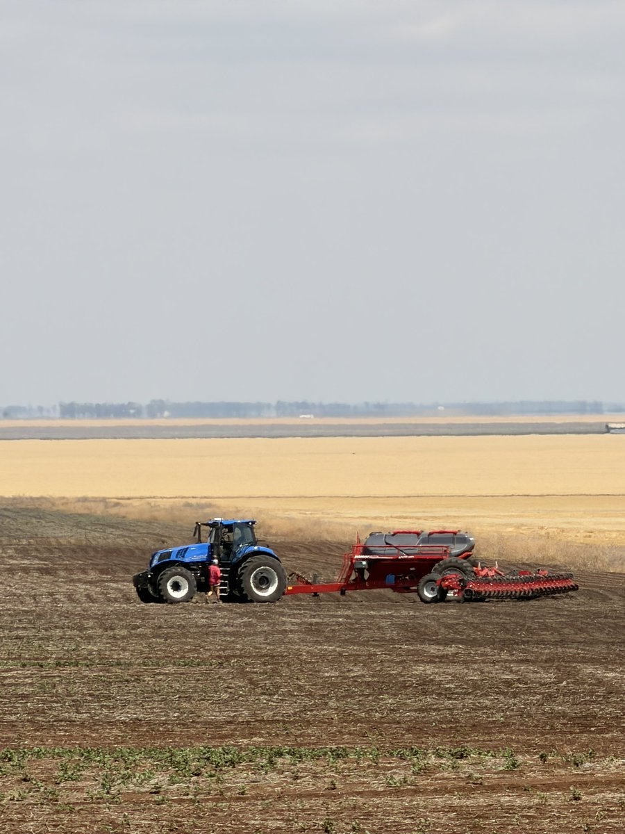 Lance Wise tweet media