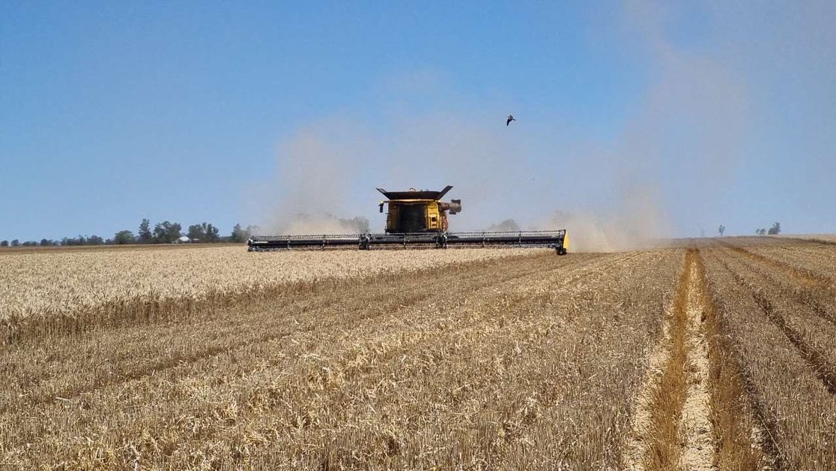Sorghum finally all in. Harvest still rolling along, but we are going to get wet on Friday and over the weekend for sure.