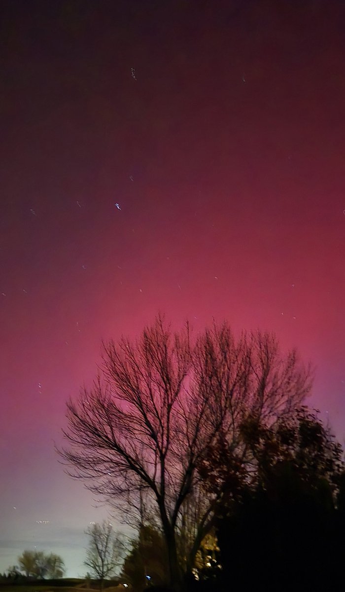 Dayna Rae Johnson tweet media