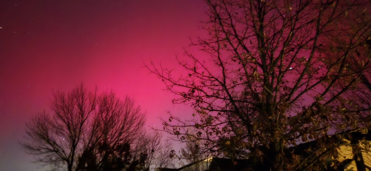 Dayna Rae Johnson tweet media