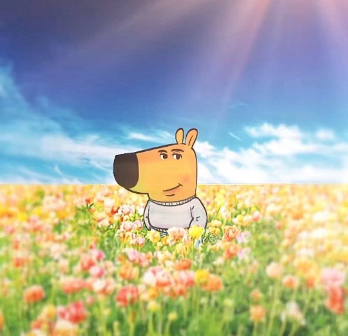 صار لي اسبوع انام العشاء واصحى الفجر