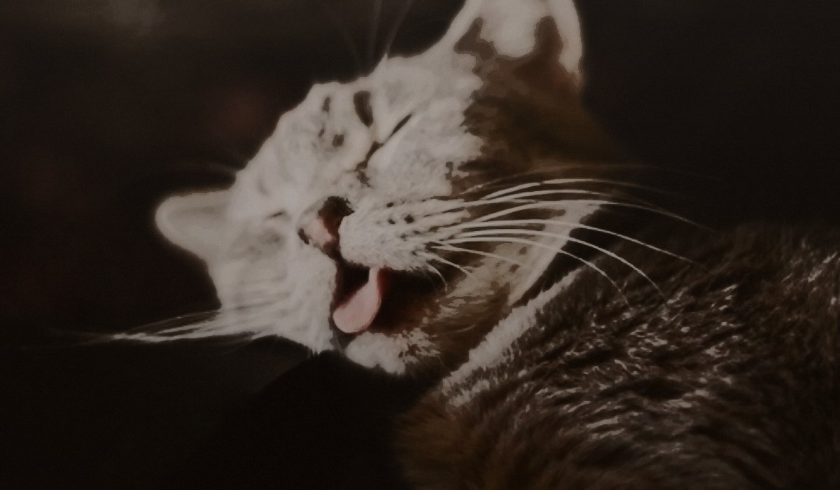 RuinTheEnmity's tweet image. 