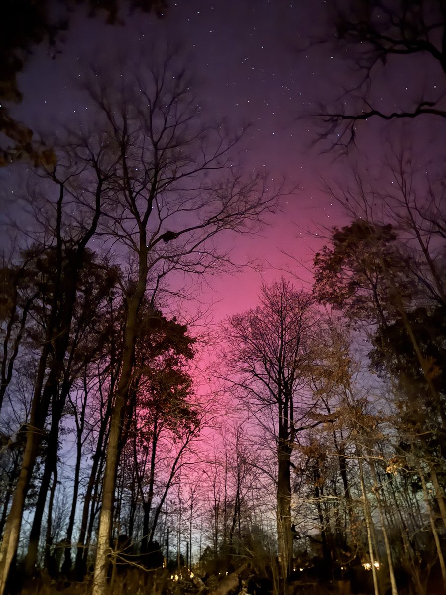 Kim Lowe tweet media