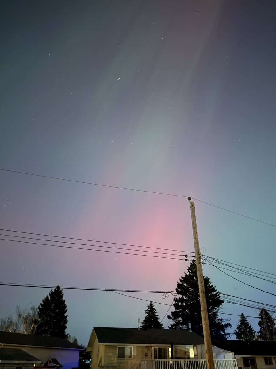 Emily O'Sullivan tweet media