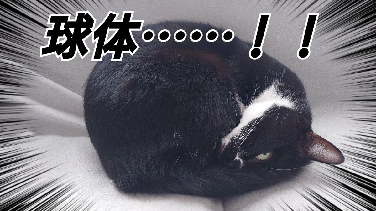 CIbPeFjePNtA1FP's tweet image. こ⋯⋯⋯ッッ

これって⋯⋯⋯ッッ

#今日のあんこ